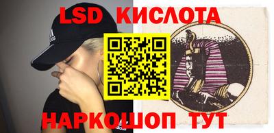 эйфоретик Камышлов