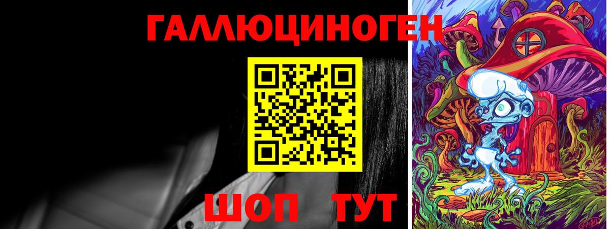 где купить наркоту  Псилоцибиновые грибы Magic Shrooms  Вход с VPN  Краснознаменск 